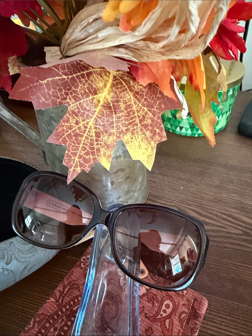 Coach Brown Gradient Oversized Sunglasses